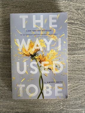 The Way I Used To Be by Amber Smith